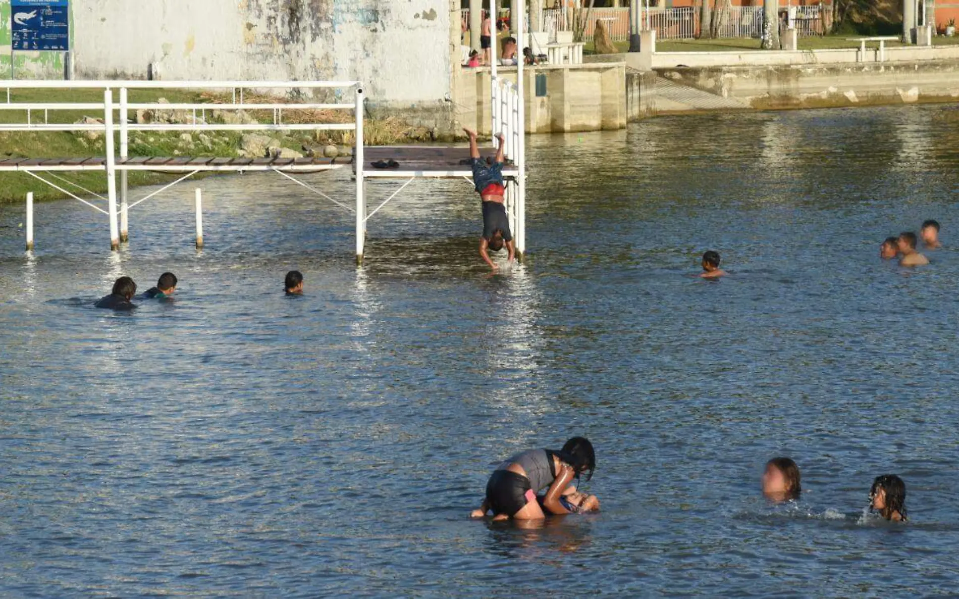 Laguna del Chairel es zona de cocodrilos en Tampico, prohibido nadar José Luis Tapia